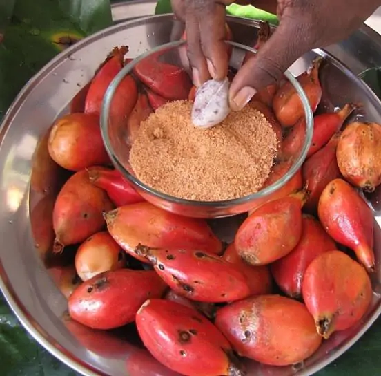 Aframomum alboviolaceum - ginguenga, jinguenga, beans of paradise, fruit from heaven, tondolo - Image 2